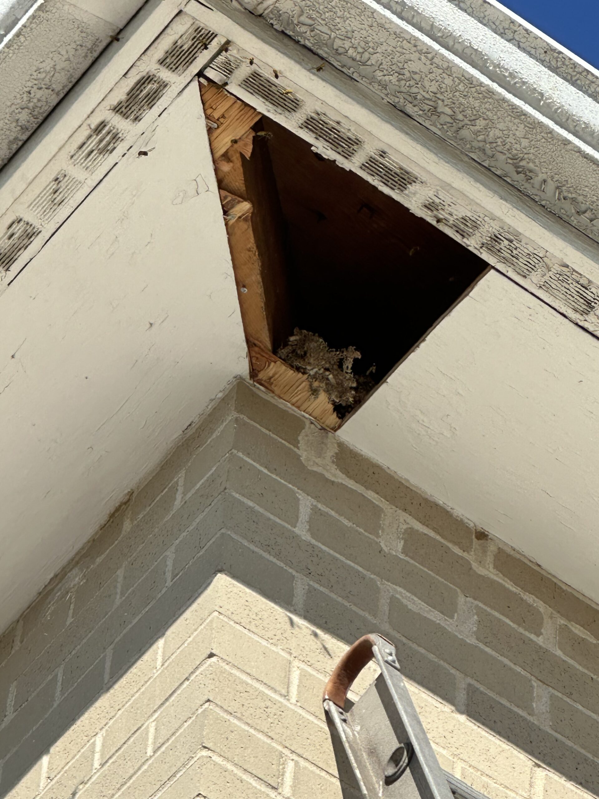 BFE20EB2-EB9C-4E8E-92E9-5F62E3FF3E8C